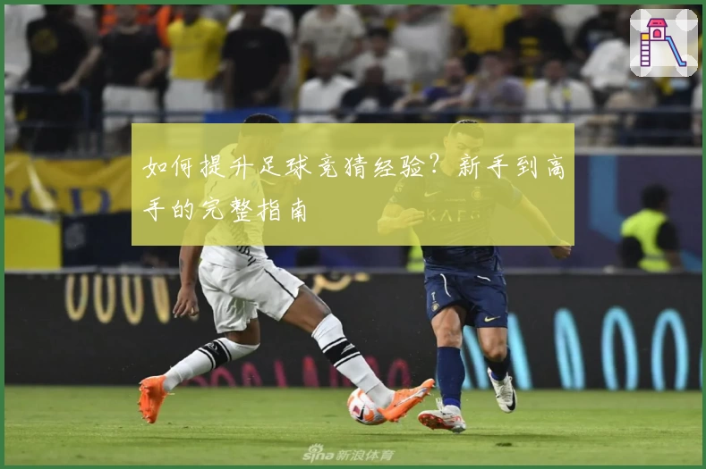 如何提升足球竞猜经验？新手到高手的完整指南