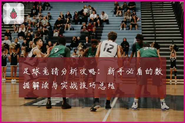 足球竞猜分析攻略：新手必看的数据解读与实战技巧总结