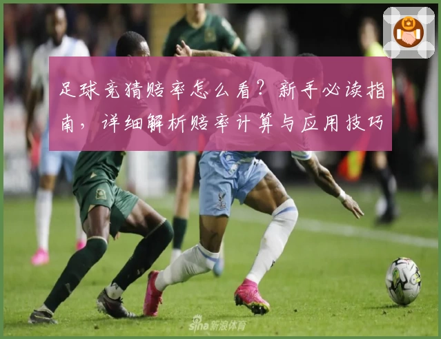 足球竞猜赔率怎么看？新手必读指南，详细解析赔率计算与应用技巧