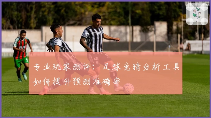专业玩家测评：足球竞猜分析工具如何提升预测准确率