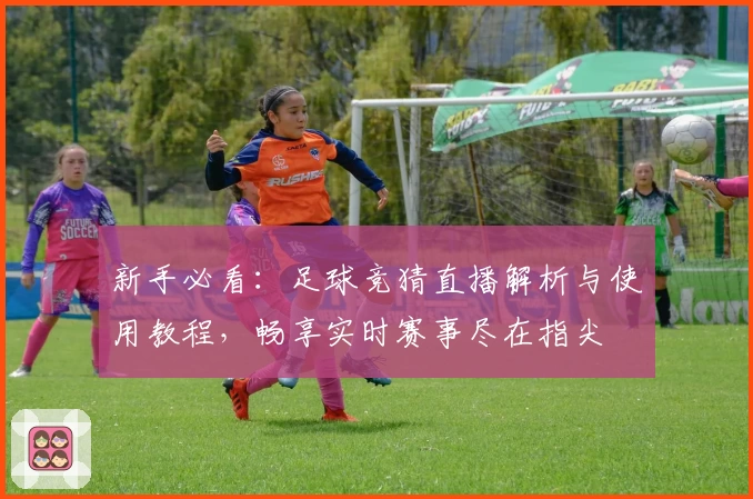 新手必看：足球竞猜直播解析与使用教程，畅享实时赛事尽在指尖