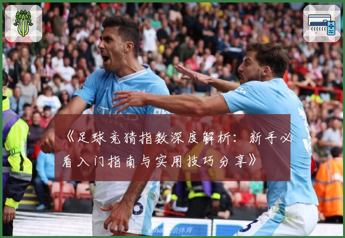 《足球竞猜指数深度解析：新手必看入门指南与实用技巧分享》