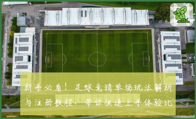 新手必看！足球竞猜单场玩法解析与注册教程，带你快速上手体验比赛乐趣